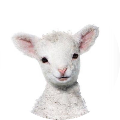 ひつじ🎀3m←38wଘ(੭*ˊᵕˋ)੭* ੈ♡‧₊˚