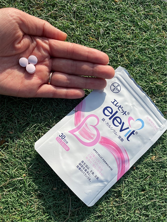 エレビットとメネビット