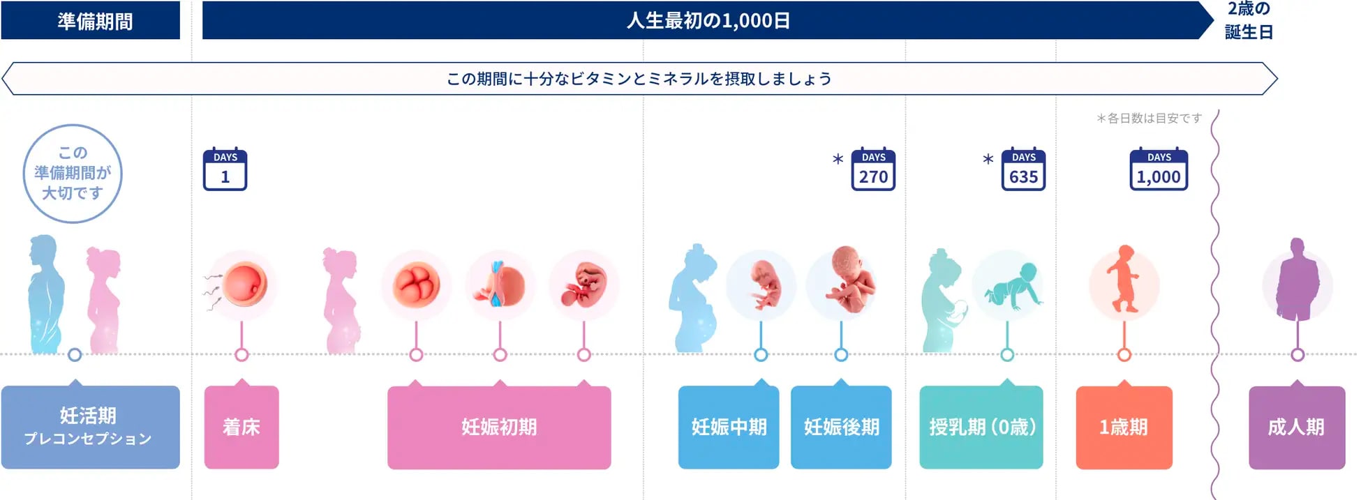 人生最初の1000日