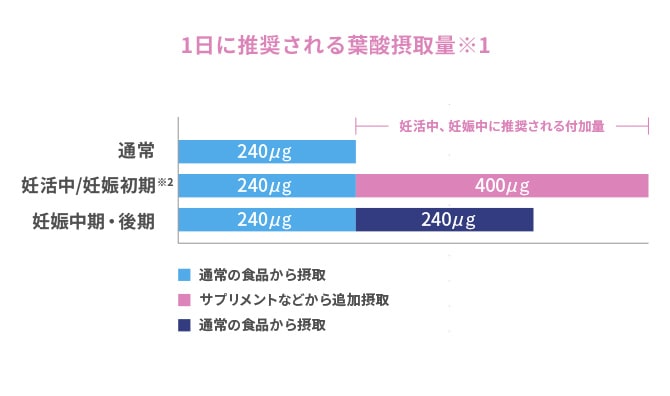 医師監修】妊娠初期に推奨される葉酸摂取量は？|エレビットの葉酸サプリは根拠がある葉酸800μg+|バイエル薬品